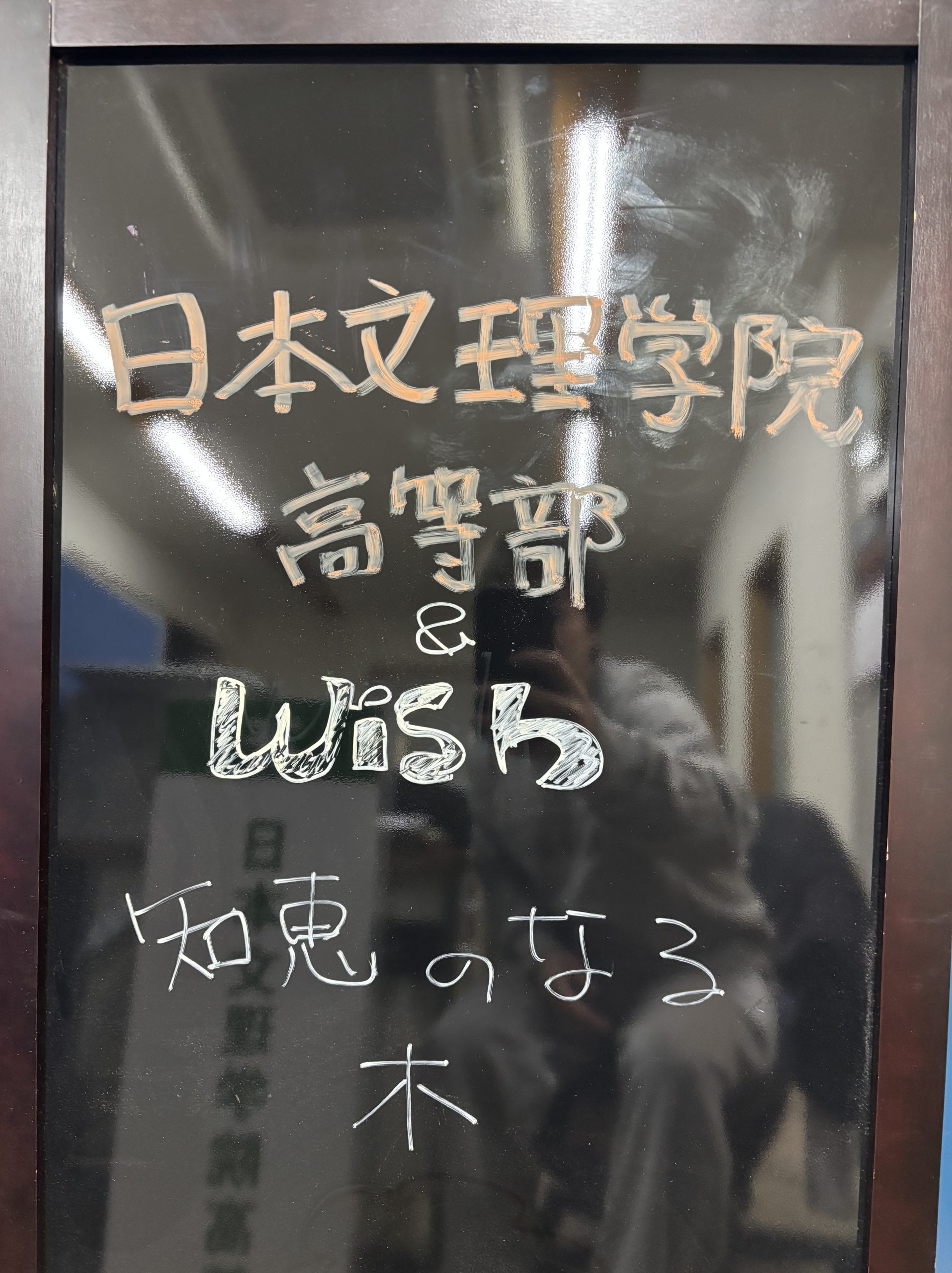 知恵のなる木を開設